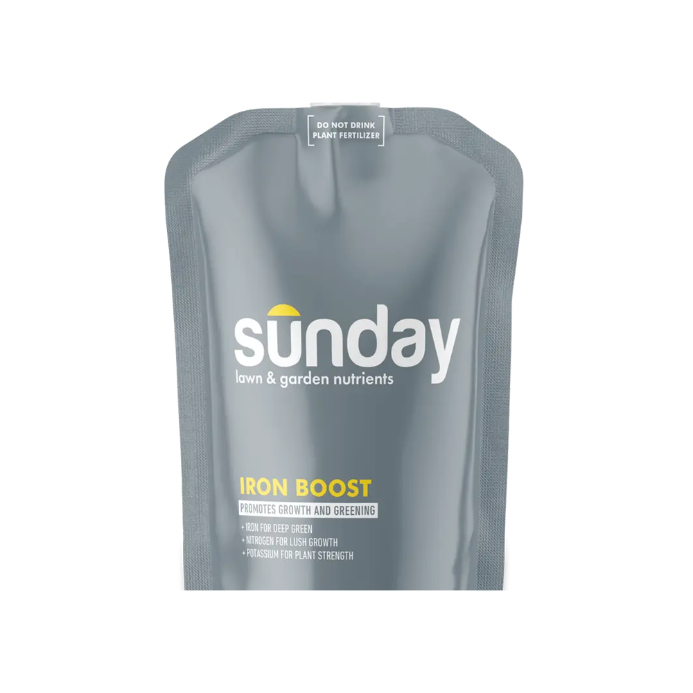 Sunday Iron Boost