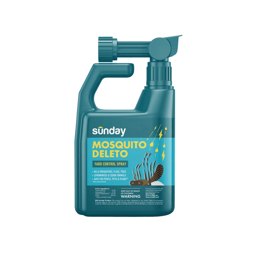 Sunday Mosquito Deleto