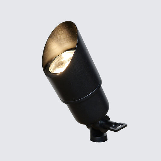 Accent Light